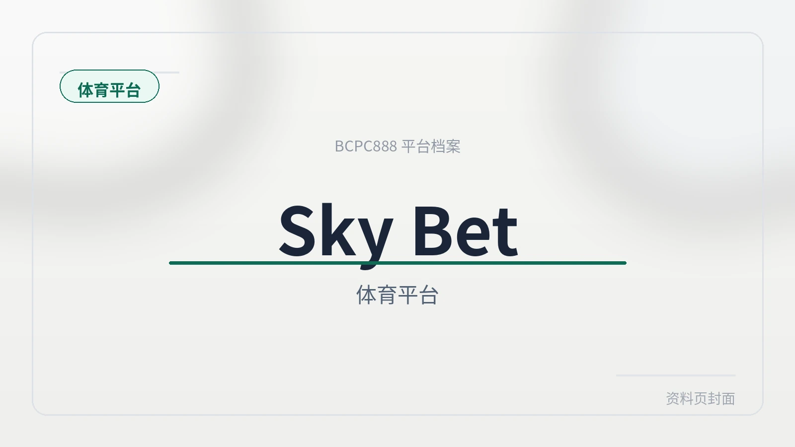 Sky Bet体育 平台封面图