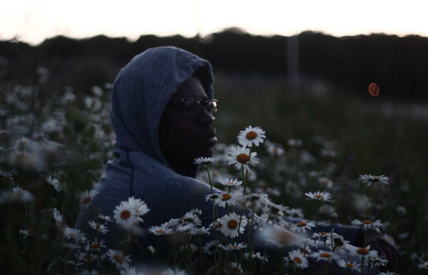 雨燕免费足球直播